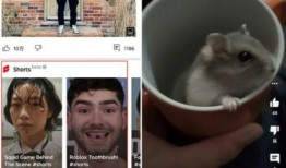 肥羊卷儿爆料原视频,原视频背后的惊人真相